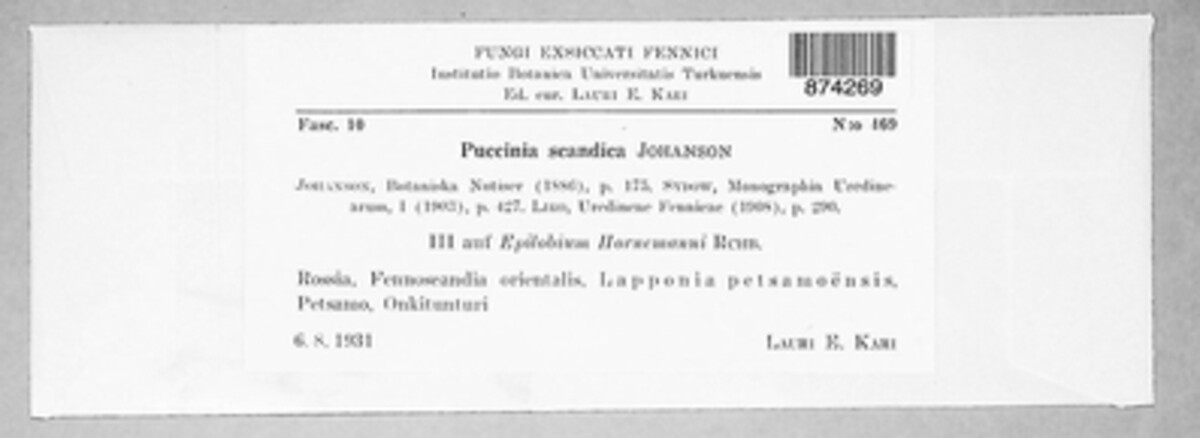Puccinia scandica image